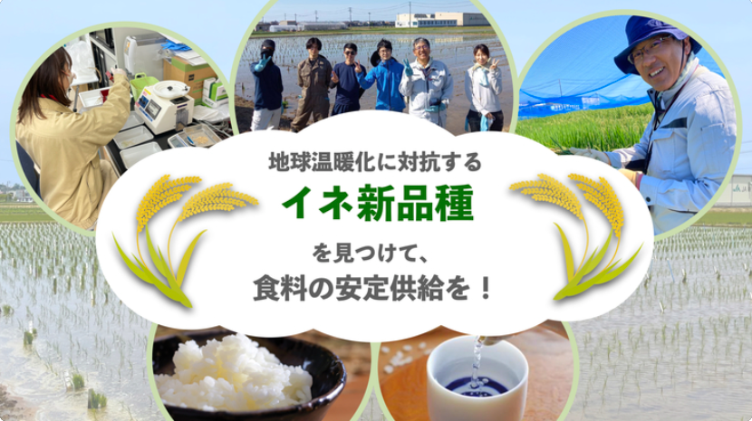 現在実施中のプロジェクトイメージ